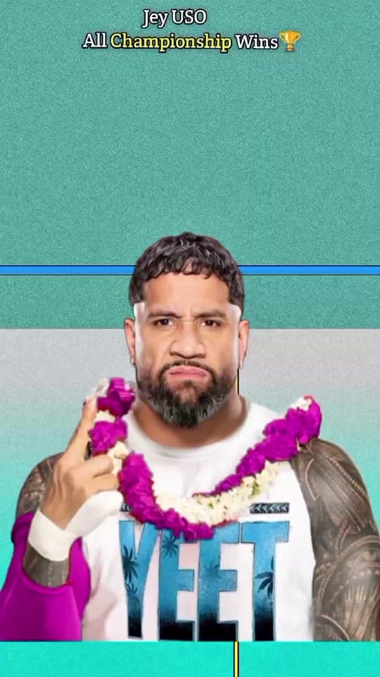 Post 6 by Underestimate WWE on TikTok (video)