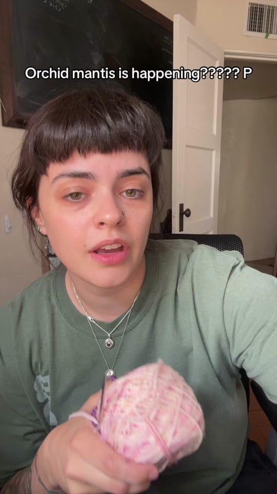 Post 2 by the_leafhopper on TikTok (video)