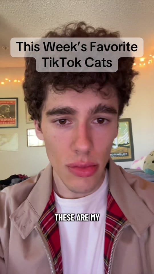 Post 2 by brranndo on TikTok (video)