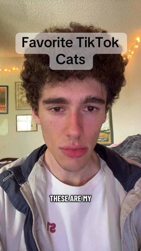 Post 5 by brranndo on TikTok (video)