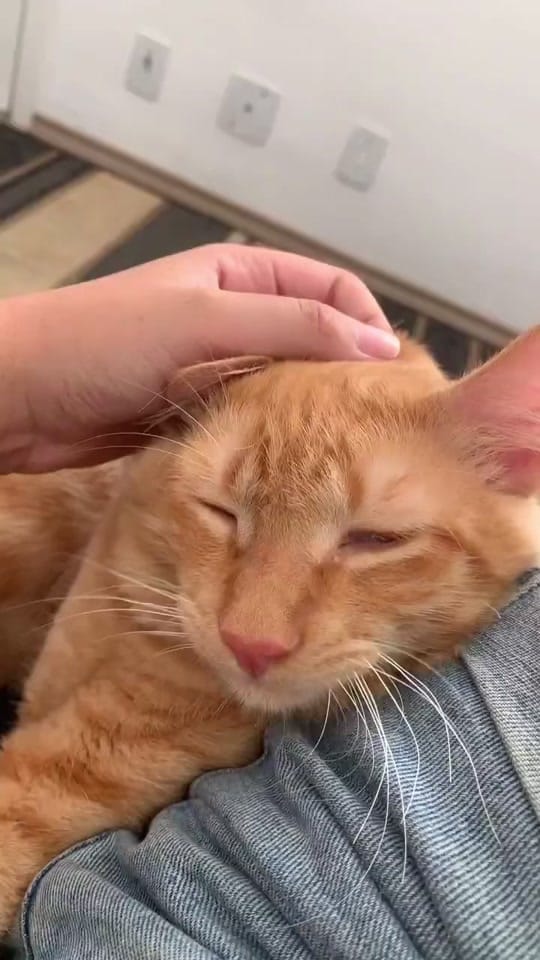 Post 9 by oisourabisco on TikTok (video)