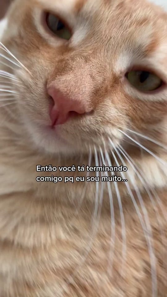 Post 3 by oisourabisco on TikTok (video)