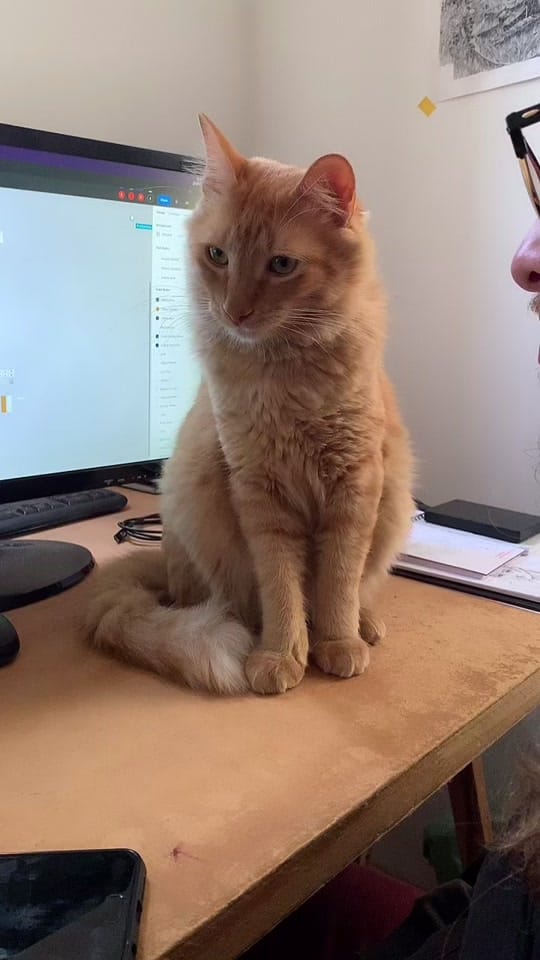 Post 2 by oisourabisco on TikTok (video)