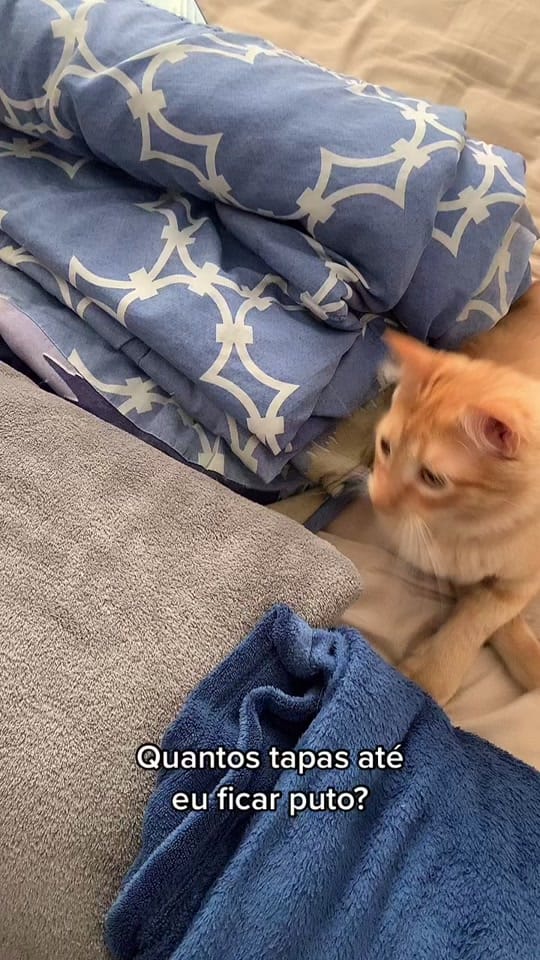 Post 6 by oisourabisco on TikTok (video)