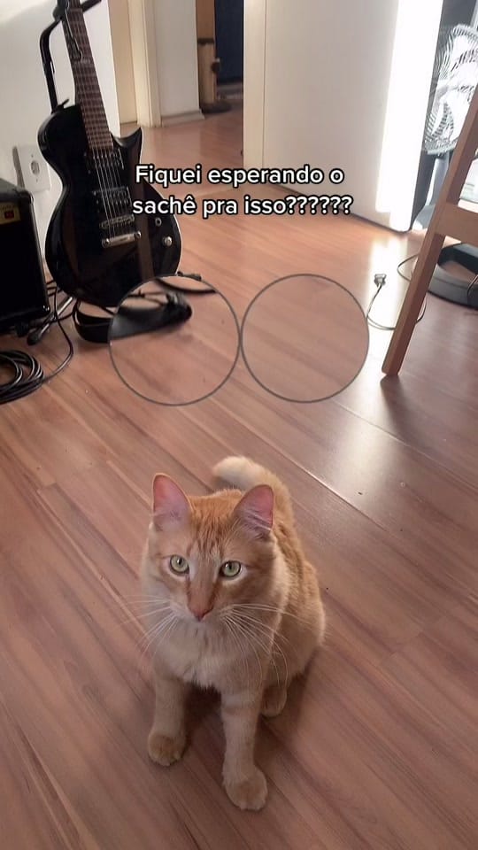 Post 5 by oisourabisco on TikTok (video)