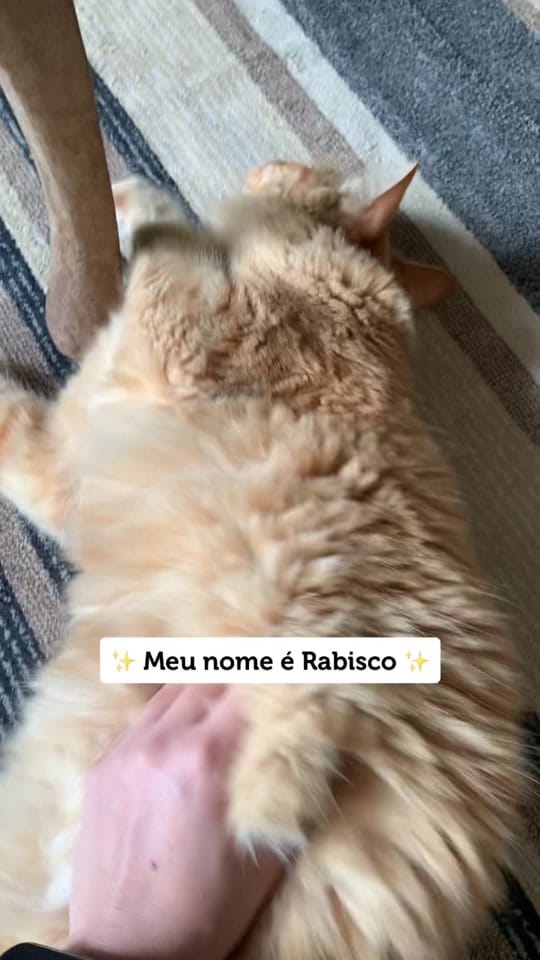 Post 1 by oisourabisco on TikTok (video)