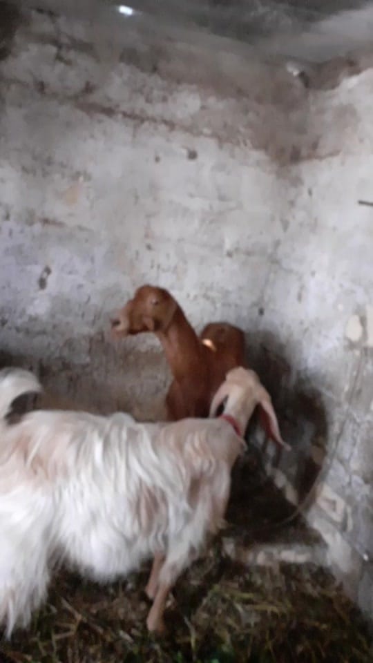 Post 5 by Edit_dusan on TikTok (video)