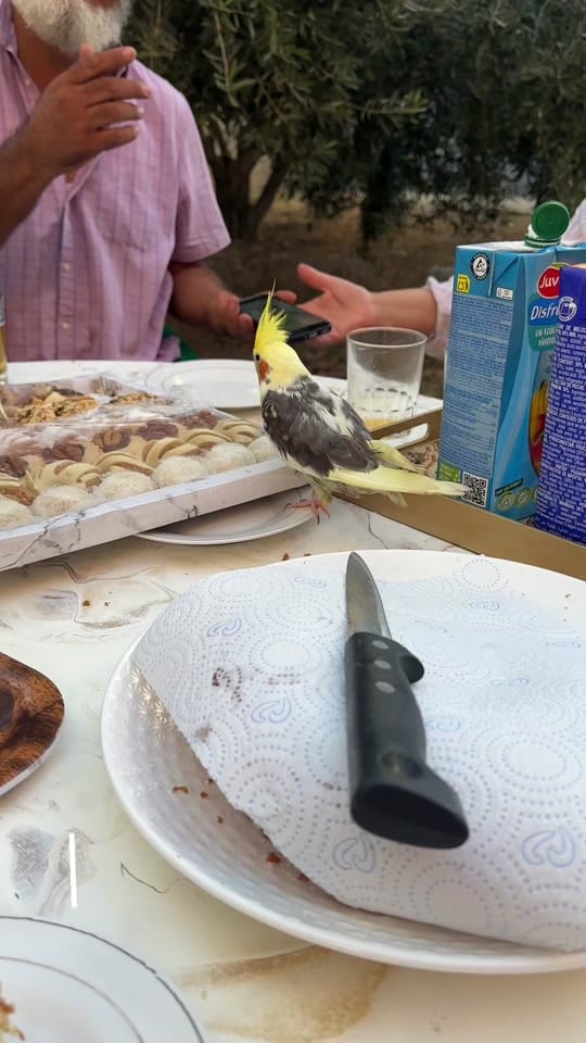 Post 2 by Wafaa El yazid on TikTok (video)