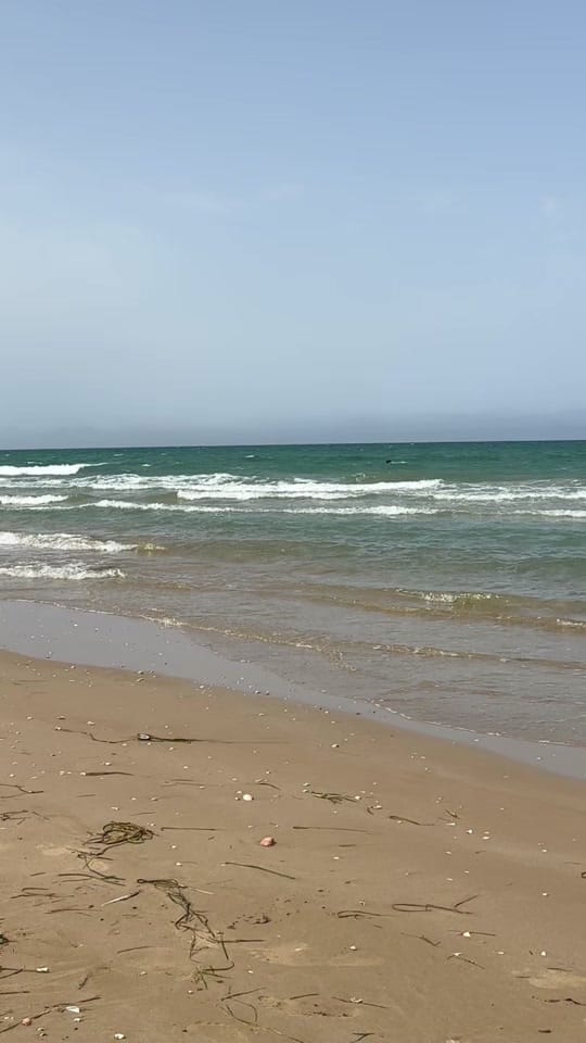 Post 5 by Wafaa El yazid on TikTok (video)