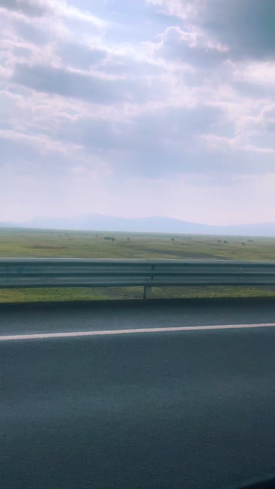 Post 8 by Yareli Jiménez 🌸 on TikTok (video)