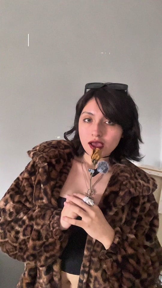 Post 4 by jeanne on TikTok (video)