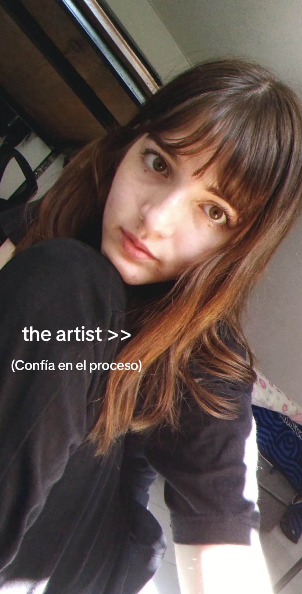 Post 1 by Introvert Ghost on TikTok (video)