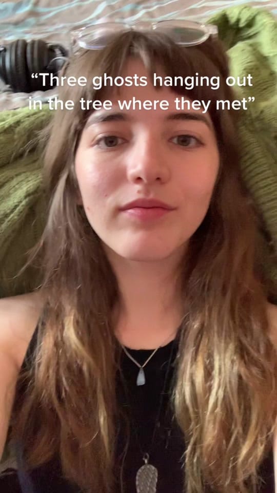 Post 10 by Introvert Ghost on TikTok (video)
