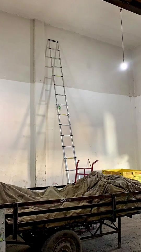 Post 10 by Mané Reyes 🎨👑 on TikTok (video)