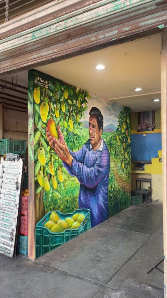 Post 3 by Mané Reyes 🎨👑 on TikTok (video)