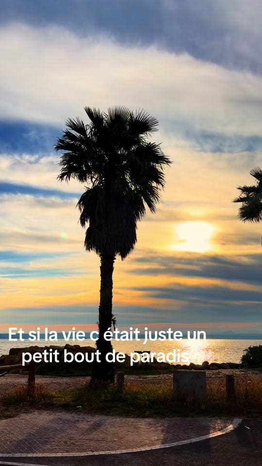 Post 6 by Lilou m ✍️ on TikTok (video)