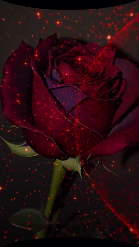 Post 7 by Lilou m ✍️ on TikTok (video)