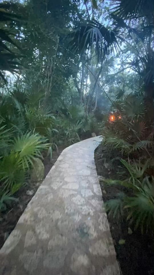 Post 5 by Joshua Vital on TikTok (video)