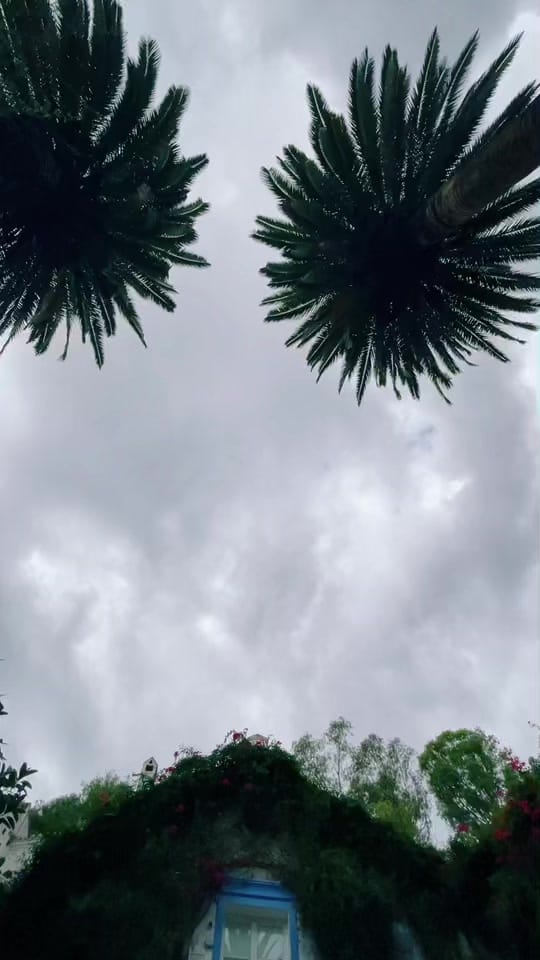 Post 3 by Joshua Vital on TikTok (video)