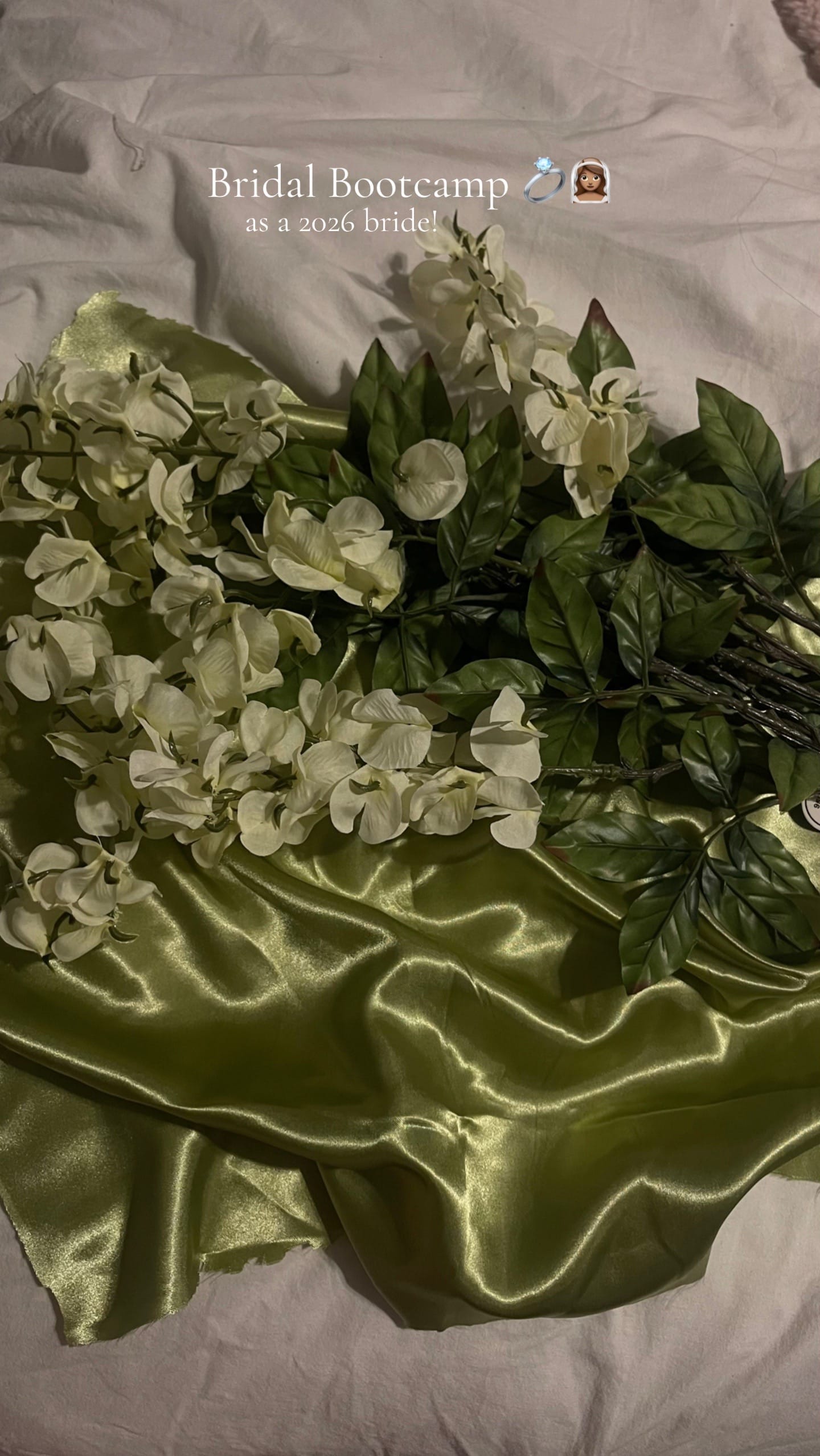 Post 9 by Lauren Plasencia | 2026 Bride on TikTok (video)