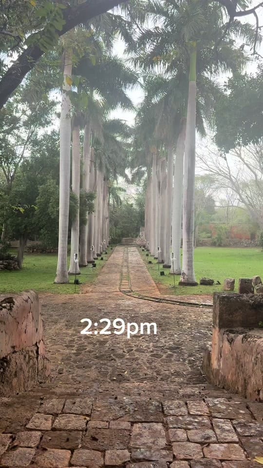 Post 1 by Betto Gastelum Zarat on TikTok (video)