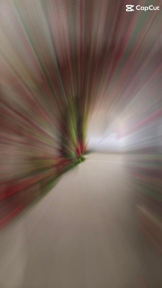 Post 5 by Cherry Blossom Flowers & Decor on TikTok (video)