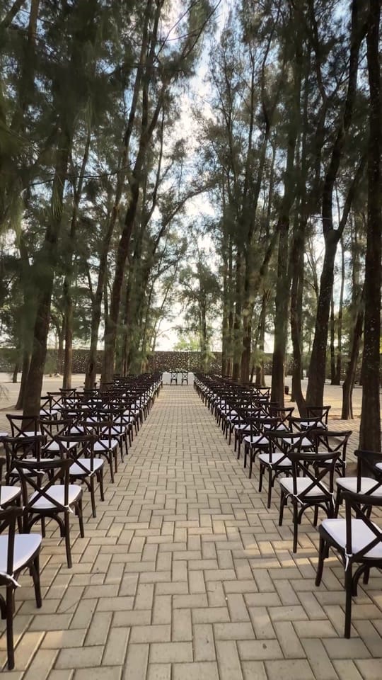 Post 5 by Hacienda la Plata on TikTok (video)