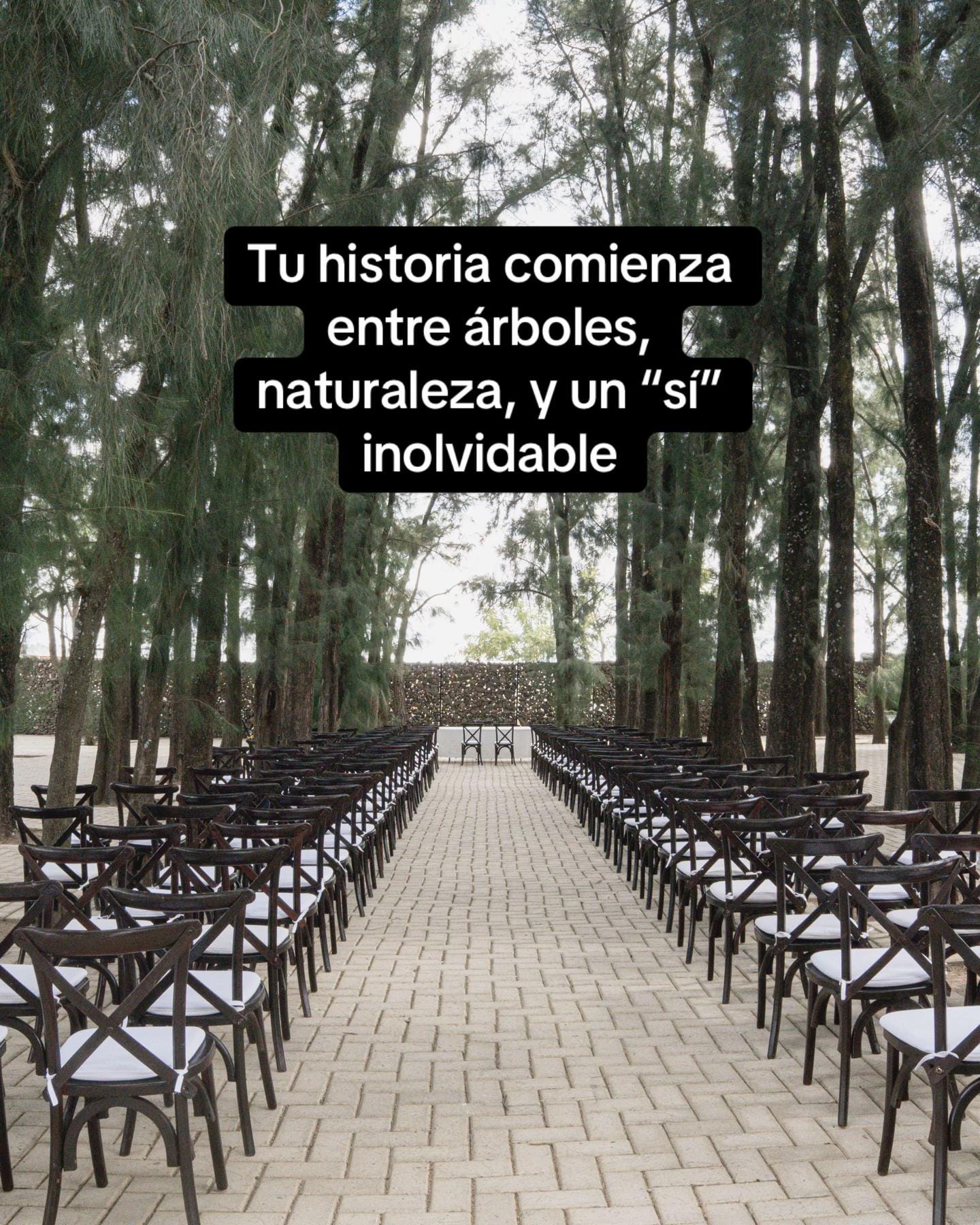 Post 4 by Hacienda la Plata on TikTok (video)