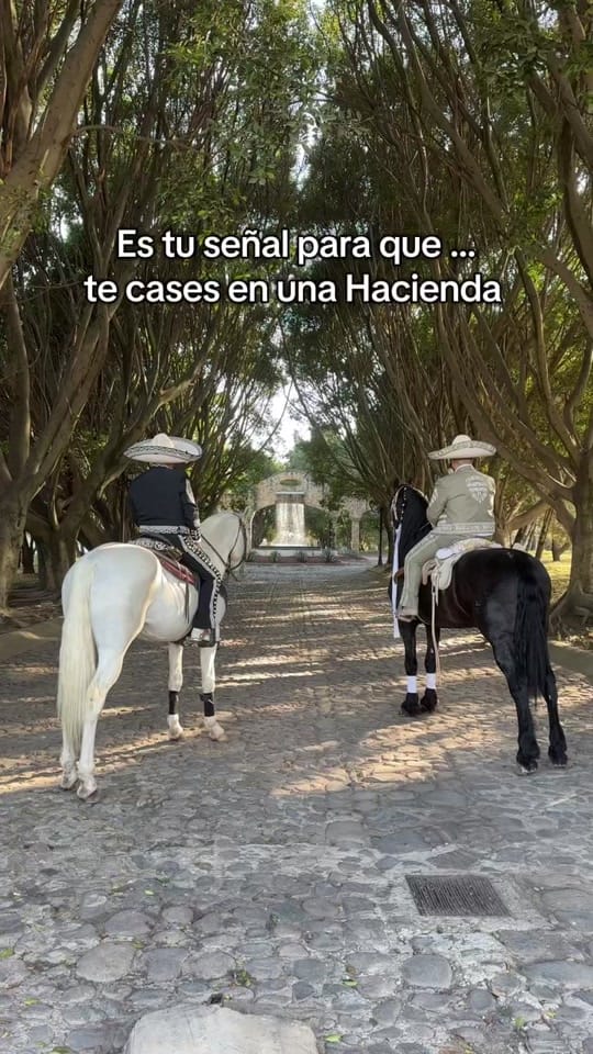 Post 10 by Hacienda la Plata on TikTok (video)