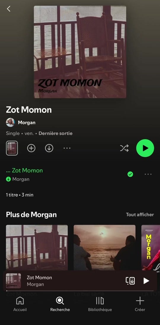 Post 8 by Morgan Officiel on TikTok (video)
