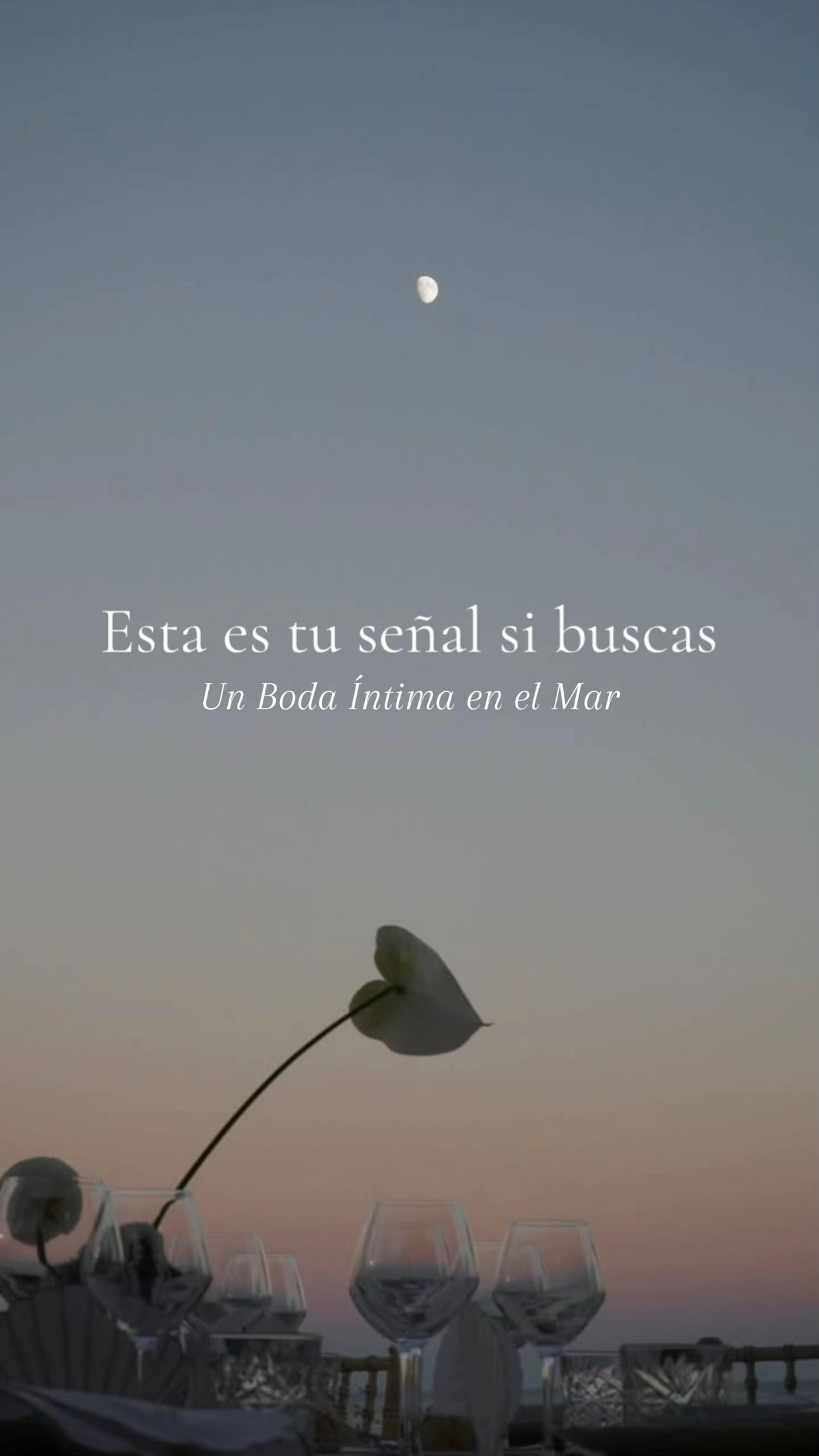 Post 4 by Éclat Weddings MX on TikTok (video)