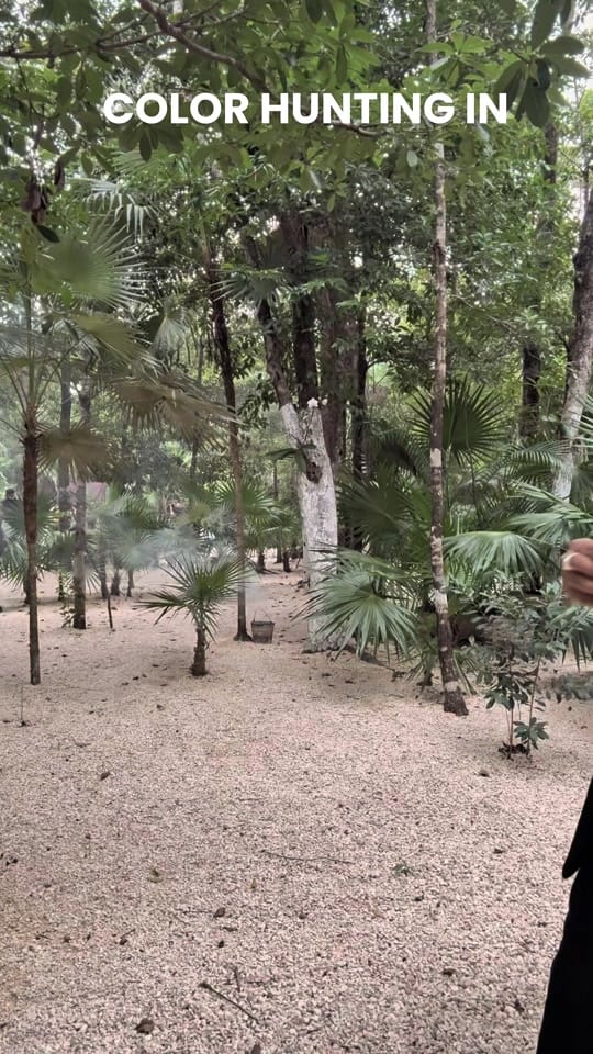 Post 3 by Fer Gallegos & Co. on TikTok (video)