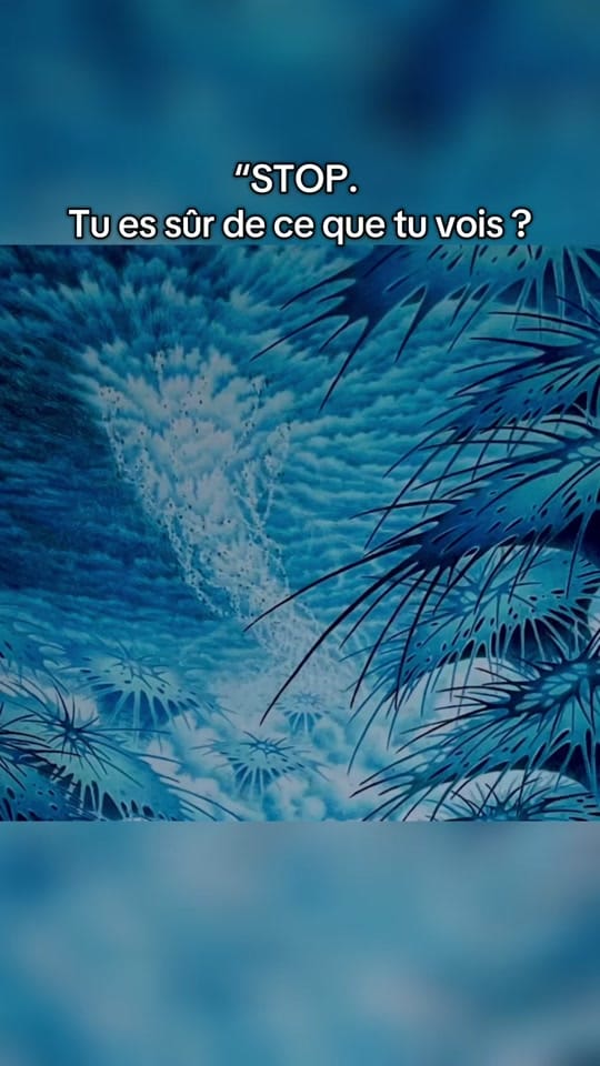 Post 4 by Bernard_Yohalin on TikTok (video)