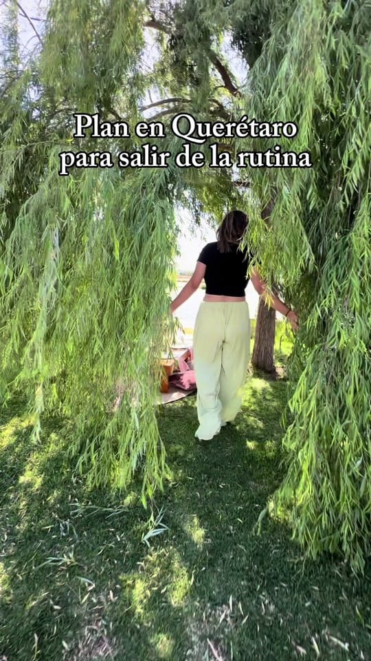 Post 10 by ayv_events on TikTok (video)