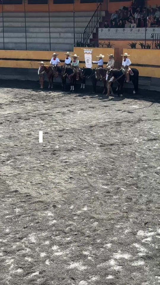 Post 2 by Mónica Ríos Wedding Planner on TikTok (video)