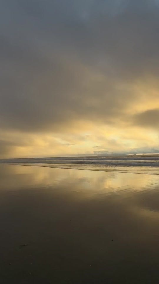 Post 1 by Dancarrillophoto on TikTok (video)