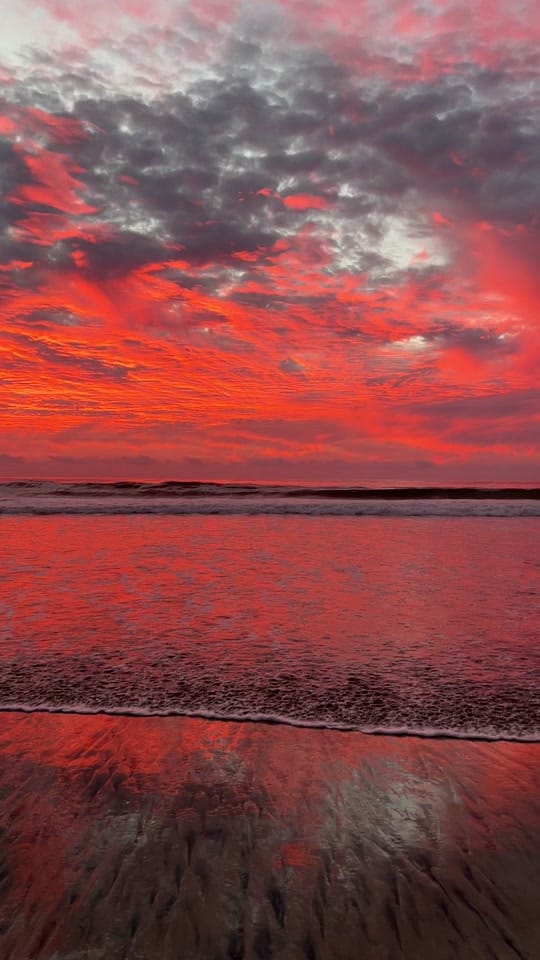 Post 2 by Dancarrillophoto on TikTok (video)