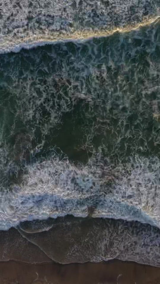 Post 8 by Dancarrillophoto on TikTok (video)