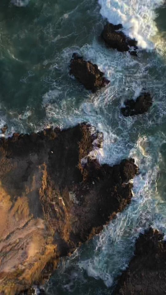Post 7 by Dancarrillophoto on TikTok (video)