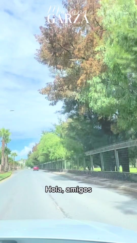 Post 3 by marianagarzaplanner on TikTok (video)