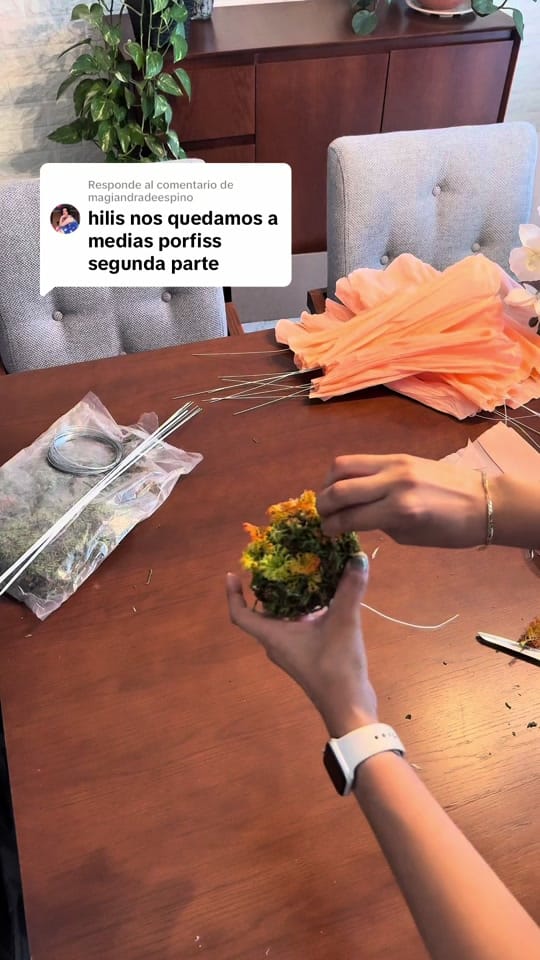 Post 9 by Meraki Val on TikTok (video)