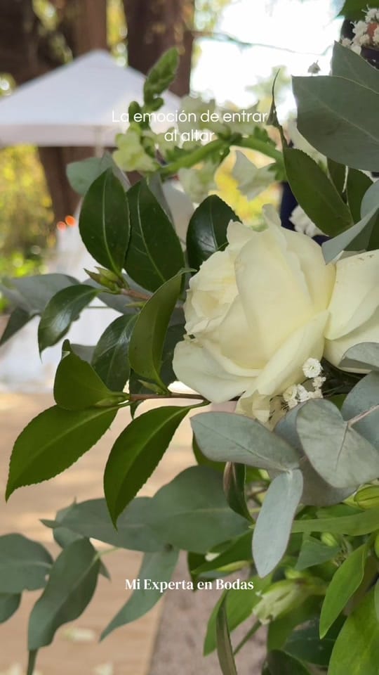 Post 1 by Mi Experta en Bodas on TikTok (video)