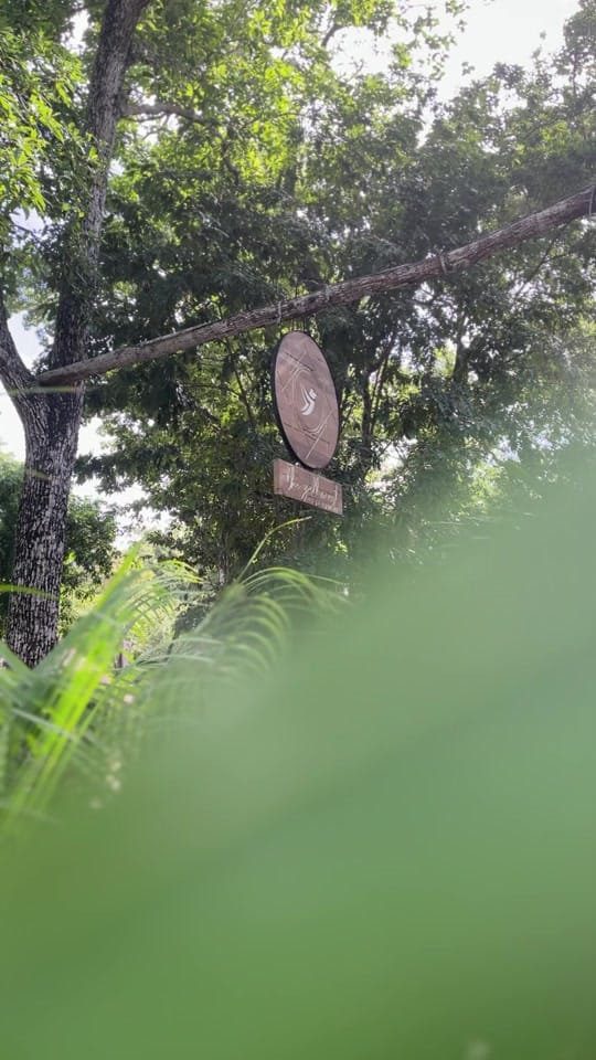 Post 7 by the.yellownest on TikTok (video)