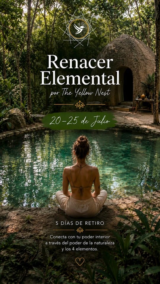 Post 2 by the.yellownest on TikTok (video)