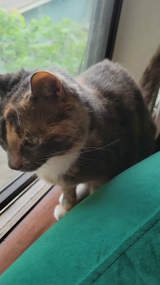 Post 1 by Paris Always on TikTok (video)