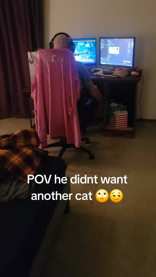 Post 9 by Paris Always on TikTok (video)