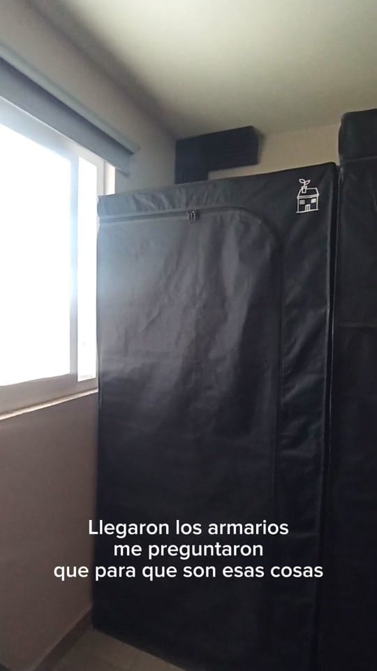 Post 10 by Green Grow Shop MX on TikTok (video)