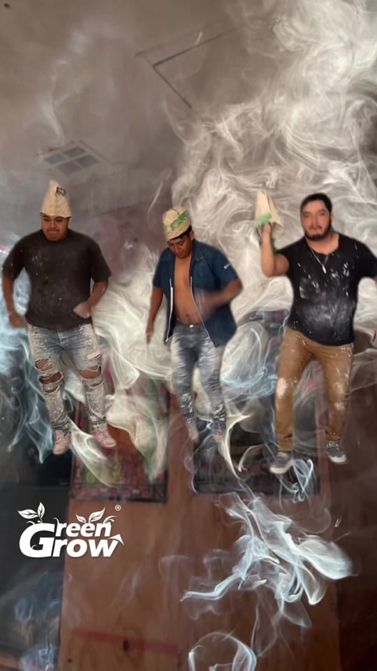 Post 2 by Green Grow Shop MX on TikTok (video)