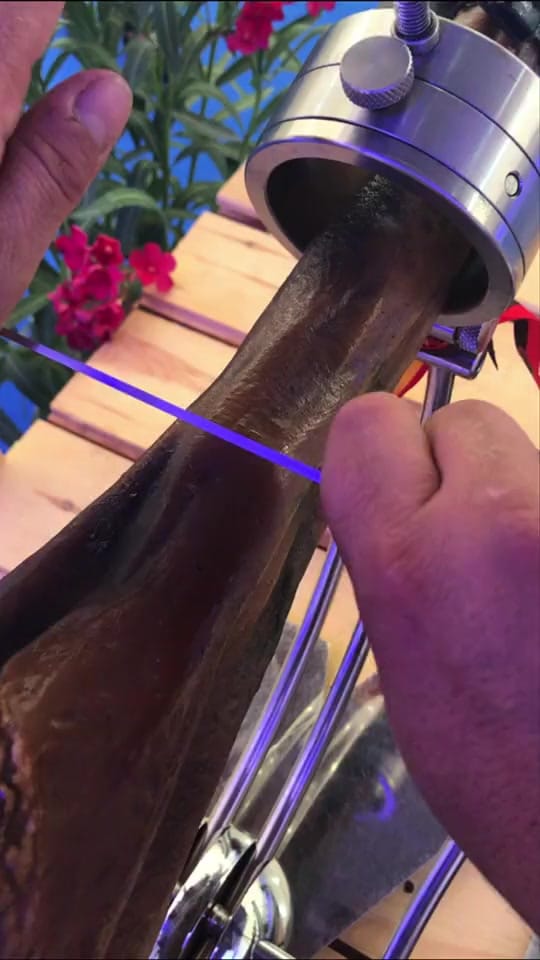 Post 8 by 🦁LION MFLOWOU🦁 on TikTok (video)