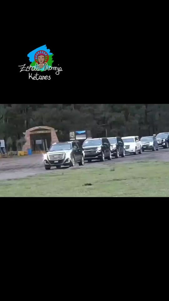 Post 2 by 🦁LION MFLOWOU🦁 on TikTok (video)